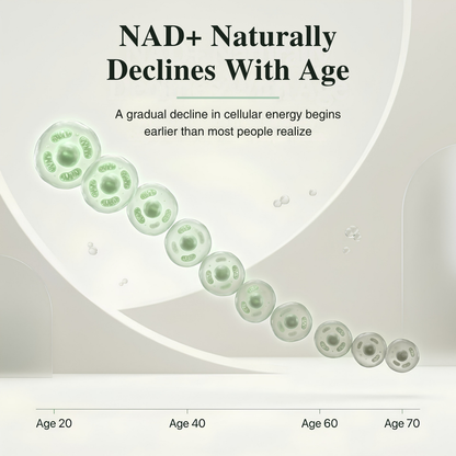 PURE NMN - RENEU: The NAD+ your body can no longer produce enough of