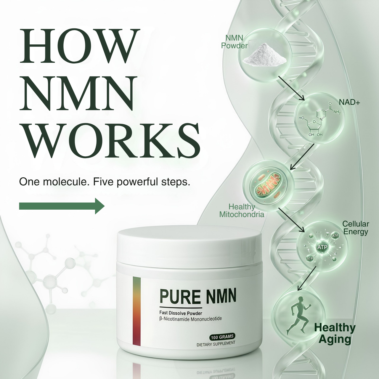 PURE NMN - RENEU: The NAD+ your body can no longer produce enough of