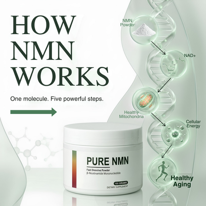 PURE NMN - RENEU: The NAD+ your body can no longer produce enough of